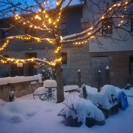 Ferienhof"Waldesel Rippersroda" Buitenkant foto
