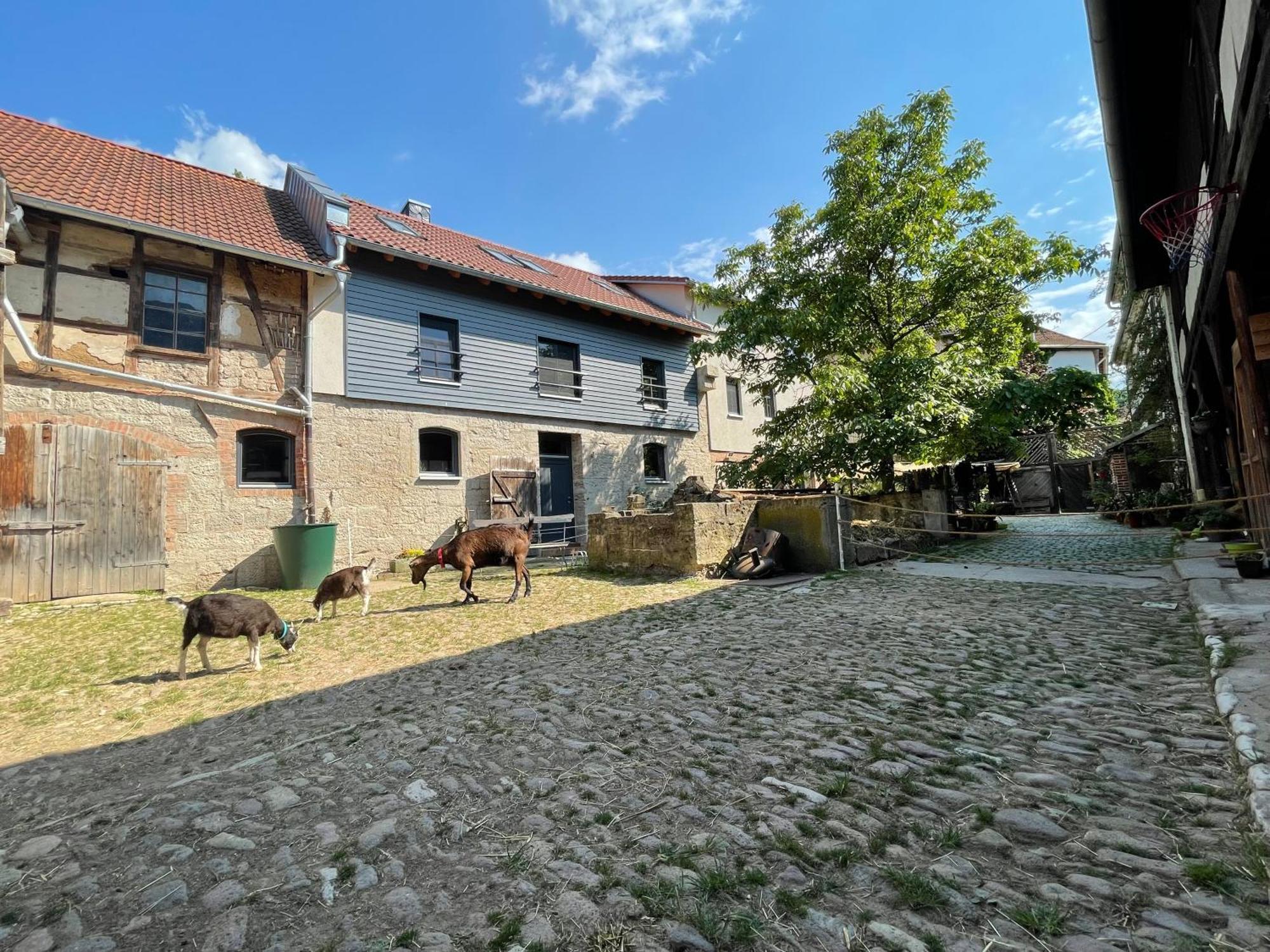 Ferienhof"Waldesel Rippersroda" Buitenkant foto