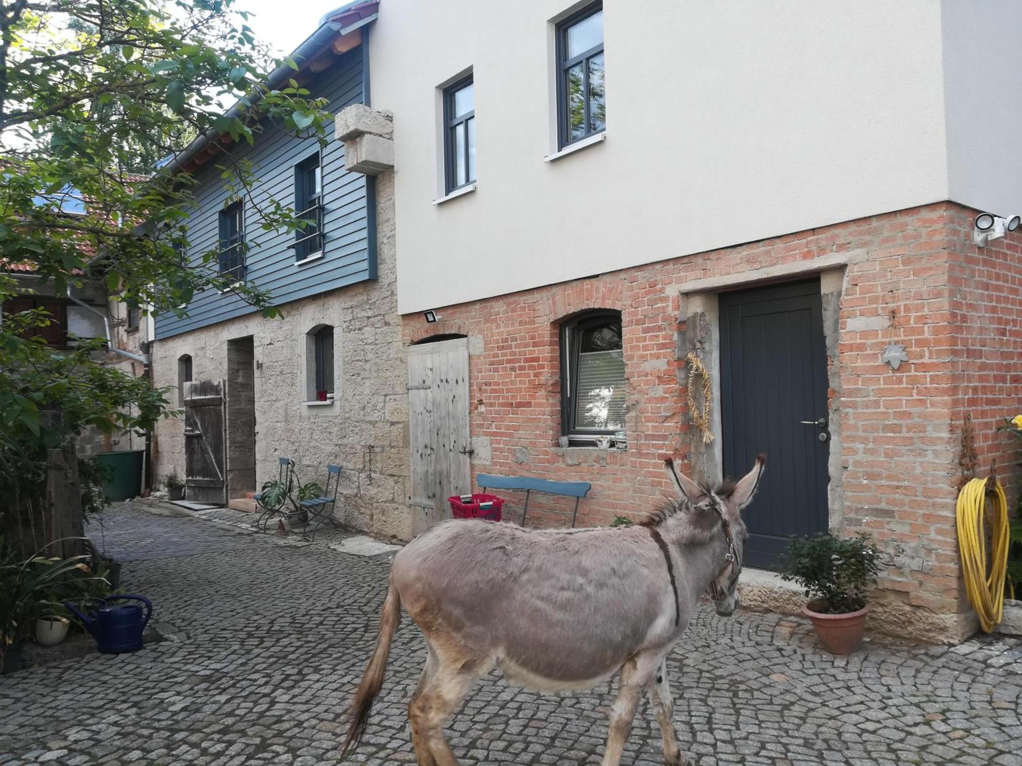 Ferienhof"Waldesel Rippersroda" Buitenkant foto