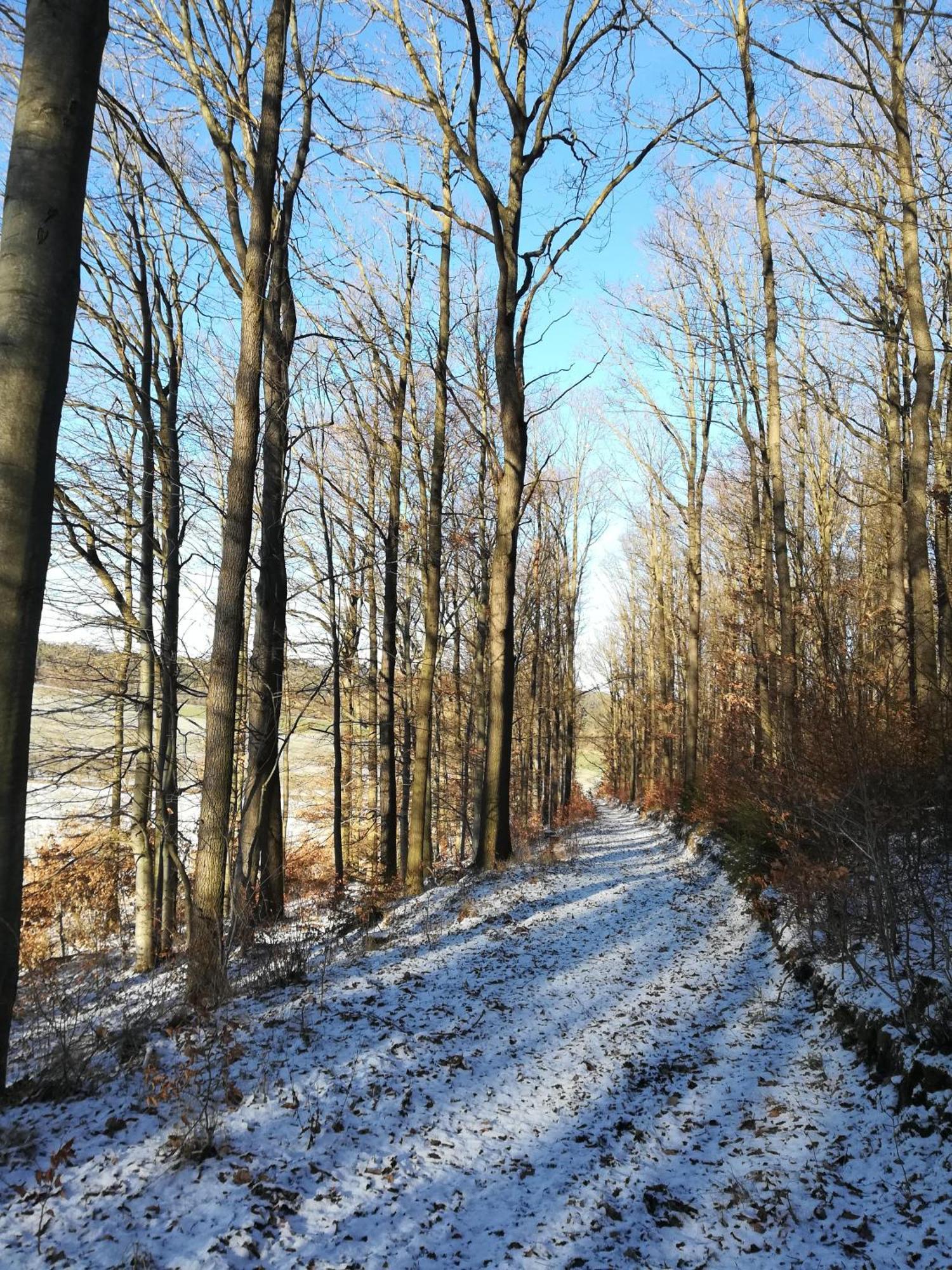 Ferienhof"Waldesel Rippersroda" Buitenkant foto