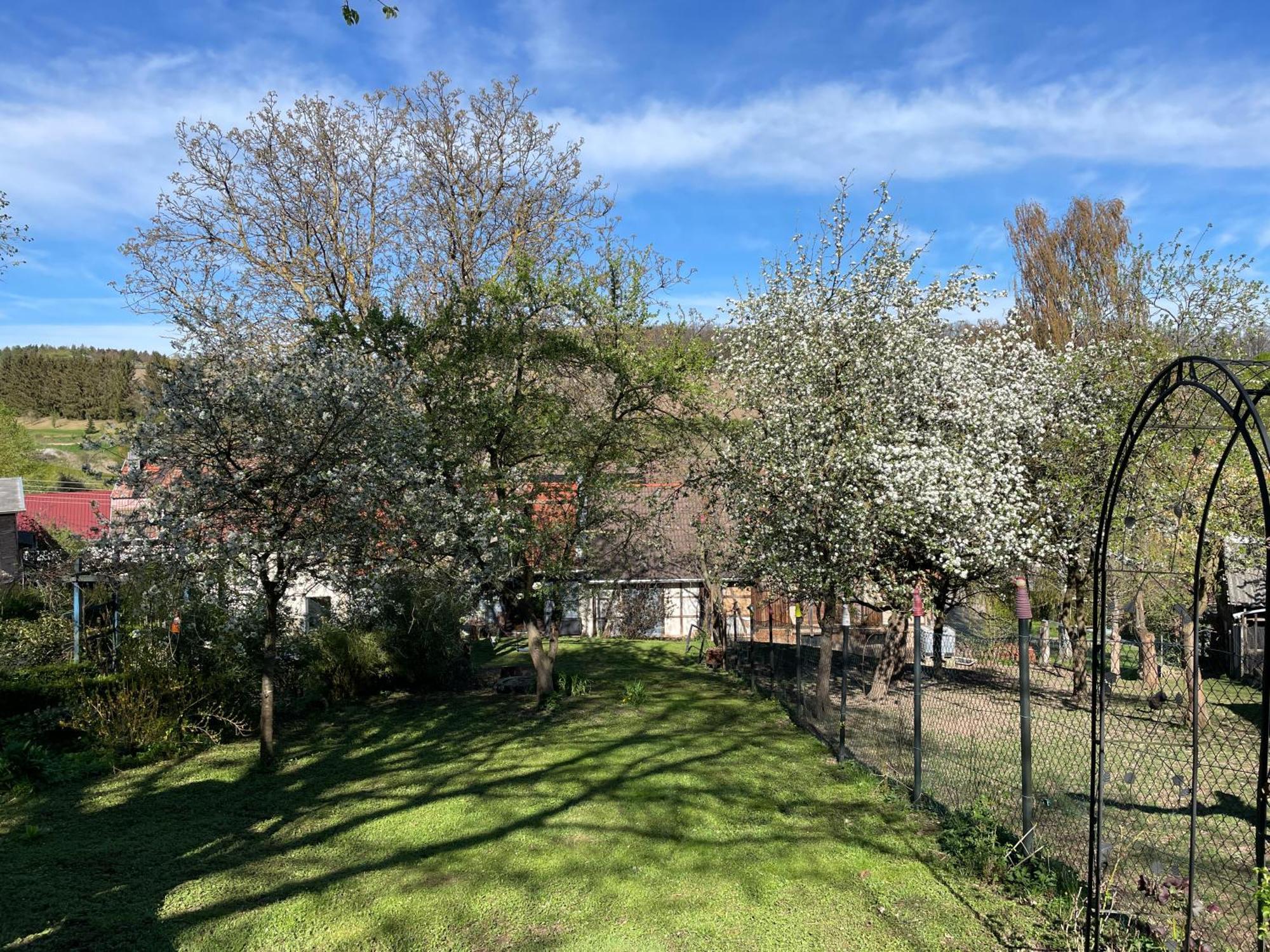 Ferienhof"Waldesel Rippersroda" Buitenkant foto