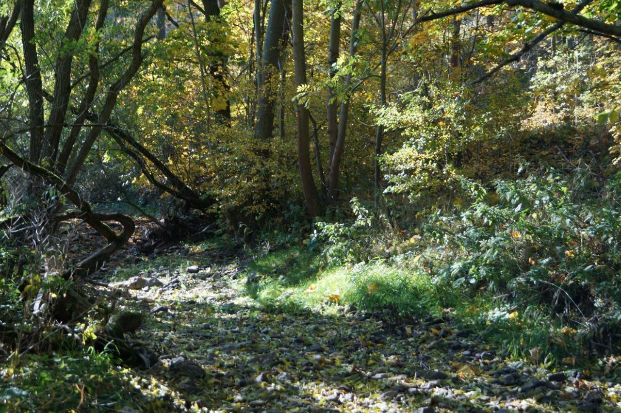 Ferienhof"Waldesel Rippersroda" Buitenkant foto